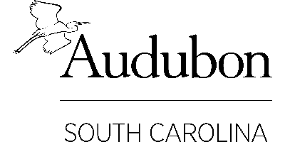Audubon South Carolina